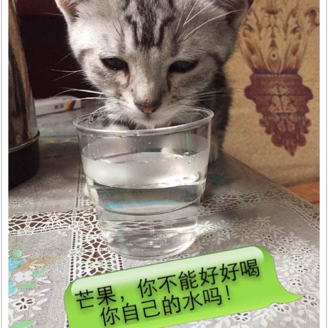哪里有卖韩国数字货币ky认证资料